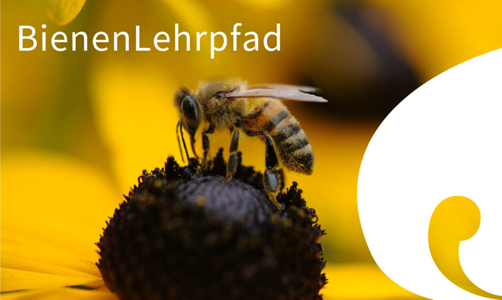 BienenLehrpfad